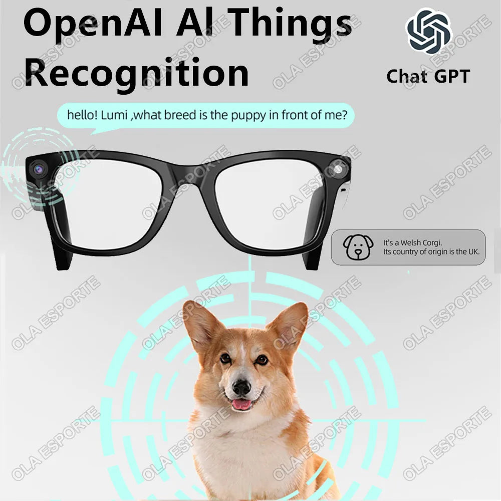 HD 1080P AI Smart Glasses ChatGPT 2000W Camera Bluetooth Call 400Mah Battery Voice Assistant Control Smart Glasses for Men Women
