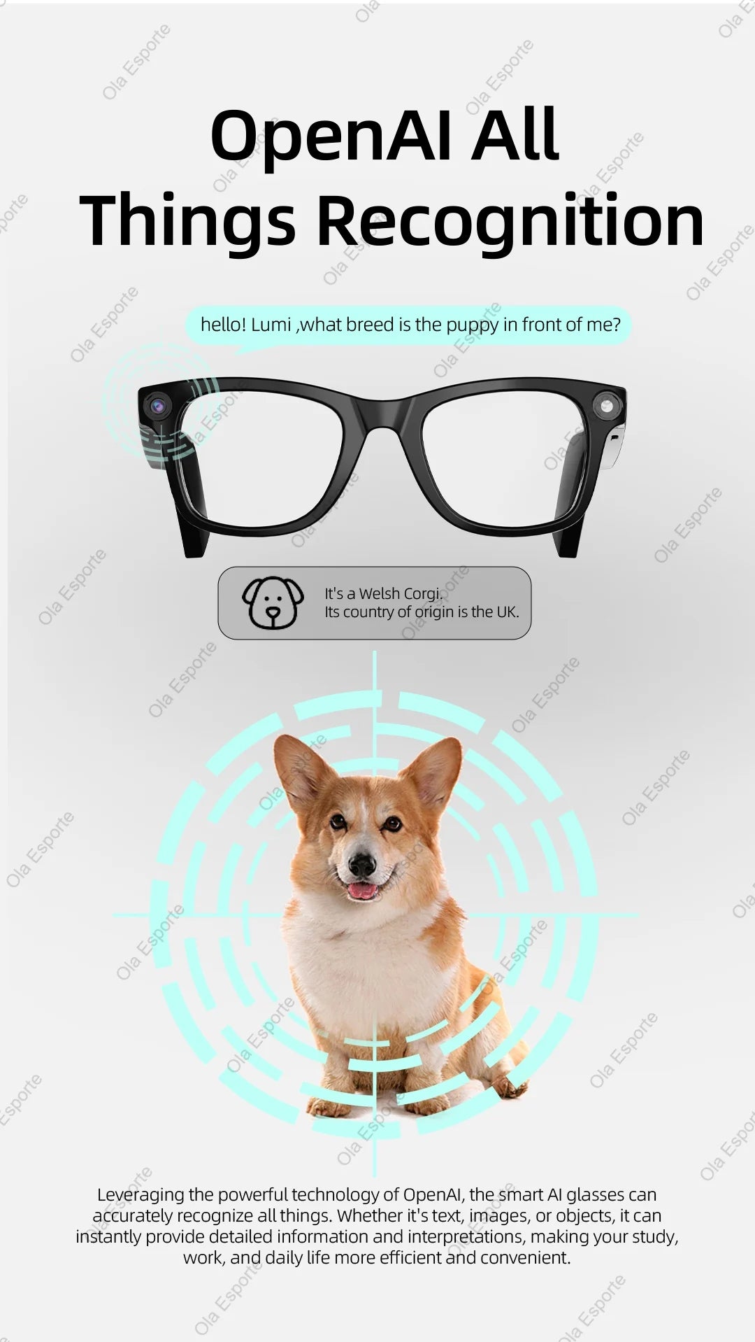 HD 1080P AI Smart Glasses ChatGPT 2000W Camera Bluetooth Call 400Mah Battery Voice Assistant Control Smart Glasses for Men Women