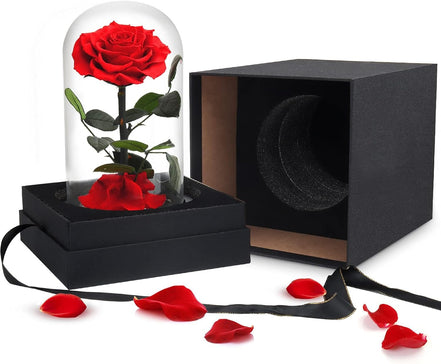 Best for Mom Preserved Real Rose, Eternal Rose in Glass Dome Gifts for Women Mother'S Day Christmas Valentine'S Day Birthday (Red, Large) - Simply Just Deals LLCBest for Mom Preserved Real Rose, Eternal Rose in Glass Dome Gifts for Women Mother'S Day Christmas Valentine'S Day Birthday (Red, Large)0895f1bb-c358-44b3-9eac-20be483a1c21Best for Mom Preserved Real Rose, Eternal Rose in Glass Dome Gifts for Women Mother'S Day Christmas Valentine'S Day Birthday (Red, Large)