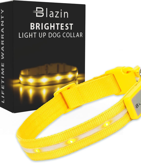 Light up Dog Collar - the Original LED Dog Collar - USB Rechargeable - Waterproof - 1,000 Feet of Visibility - Dog Collar Light for Small, Medium, Large Dogs - USA Brand - Simply Just Deals LLCLight up Dog Collar - the Original LED Dog Collar - USB Rechargeable - Waterproof - 1,000 Feet of Visibility - Dog Collar Light for Small, Medium, Large Dogs - USA Brand101f662c-2098-484e-a92a-1d78fbee17b5YellowLarge (Pack Of 1)Light up Dog Collar - the Original LED Dog Collar - USB Rechargeable - Waterpro