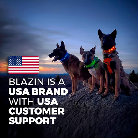 Light up Dog Collar - the Original LED Dog Collar - USB Rechargeable - Waterproof - 1,000 Feet of Visibility - Dog Collar Light for Small, Medium, Large Dogs - USA Brand - Simply Just Deals LLCLight up Dog Collar - the Original LED Dog Collar - USB Rechargeable - Waterproof - 1,000 Feet of Visibility - Dog Collar Light for Small, Medium, Large Dogs - USA Brand101f662c-2098-484e-a92a-1d78fbee17b5YellowLarge (Pack Of 1)Light up Dog Collar - the Original LED Dog Collar - USB Rechargeable - Waterpro