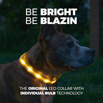 Light up Dog Collar - the Original LED Dog Collar - USB Rechargeable - Waterproof - 1,000 Feet of Visibility - Dog Collar Light for Small, Medium, Large Dogs - USA Brand - Simply Just Deals LLCLight up Dog Collar - the Original LED Dog Collar - USB Rechargeable - Waterproof - 1,000 Feet of Visibility - Dog Collar Light for Small, Medium, Large Dogs - USA Brand101f662c-2098-484e-a92a-1d78fbee17b5YellowLarge (Pack Of 1)Light up Dog Collar - the Original LED Dog Collar - USB Rechargeable - Waterpro